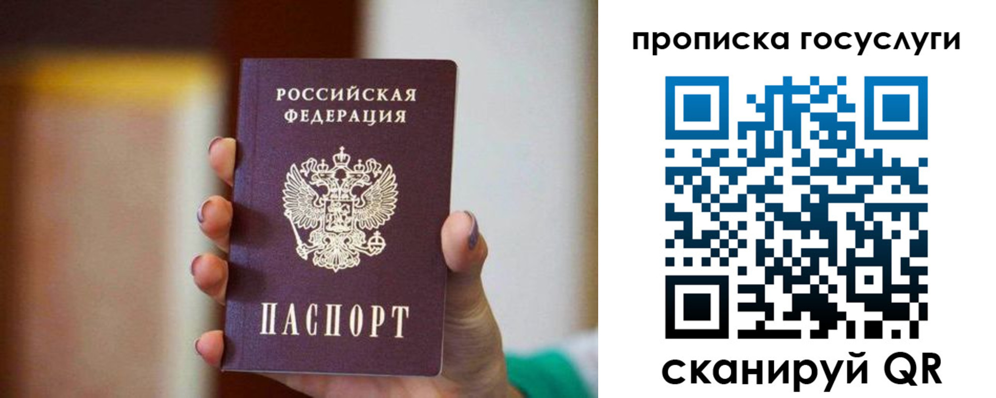 миграционный учет в Кингисеппе